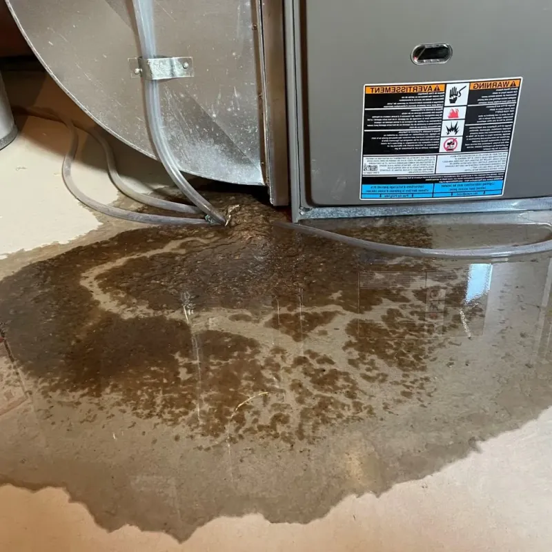 Pipe Burst and Leak Restoration in Hiawatha, IA
